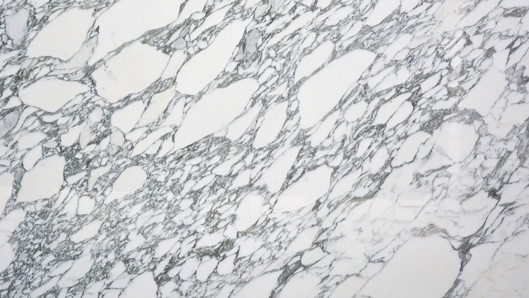 Arabescato Corchia Marble